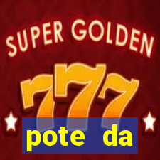 pote da prosperidade riqueza e fortuna 2024
